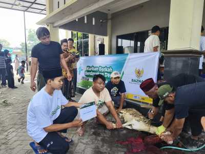 BAZNAS Jombang Tebar Hewan Qurban ke Pelosok, Usung Konsep Eco-Qurban yang Ramah Lingkungan